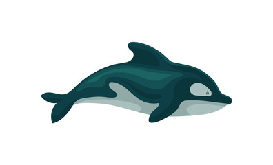 Wall Mural - flat vector icon of dolphin. marine creature with fin on the back. element for children book or gree