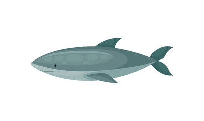 Wall Mural - flat vector icon of blue shark. long-bodied marine fish. sea and ocean life theme