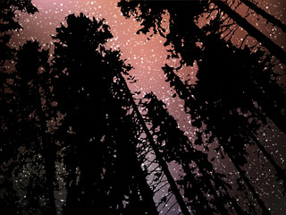 Wall Mural - night starry landscape vector background. universe illustration with silhouette of trees and hill. c