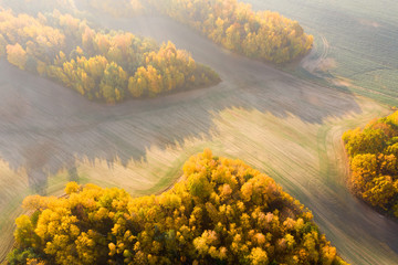 Wall Mural - Fall nature