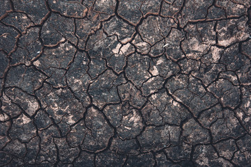 Wall Mural - Mud cracks texture top view