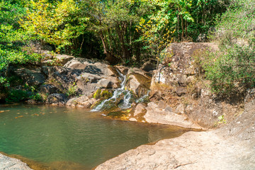 Poster - River and Waterfall Among Forest