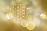 Fototapeta Kosmos - Blume des Lebens in goldenem Licht