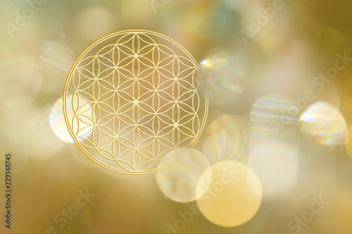 Blume des Lebens in goldenem Licht Fototapet