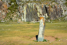 Chuya Deer Stone