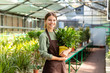 © Drobot Dean - Image of caucasian woman gardener 20s wearing apron standing with plants in hands, while working in greenhouse