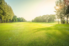 Scenery Green Golf And Meadow With Sunbeam In Morning, Wonderful Sunbeam At The Natural Park, Scenery Fairway With Trees And Green Grass Field