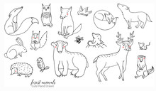 Hand Drawn Line Art Cartoon Doodle Animal Set In Vector. Forest Animal Illustrations Isolated On The White Background