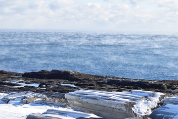 winter shore rocky sea mist snow