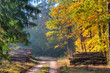 Road through the autumn forest. Masuria, Poland.