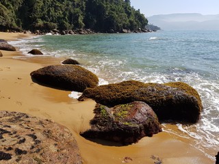 rocks on the beach