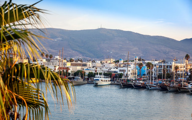 Wall Mural - The capital of the island of Kos, Greece, view of the city and marina at sunset, a popular destination for travel in Europe