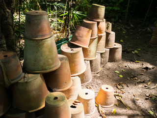 Flower pots on the ground with sunlight.