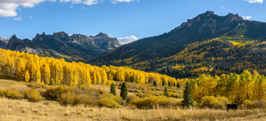 Wall Mural - Autumn Mountain Valley - Golden autumn scene at a mountain valley on Owl Creek Pass Road, near Ridgeway, Colorado, USA.