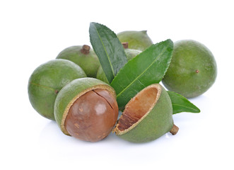 Wall Mural - macadamia nuts on white background