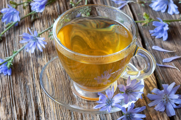 A cup of chicory tea with fresh blue chicory flowers