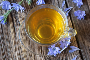 Wall Mural - A cup of chicory tea with fresh chicory flowers, top view