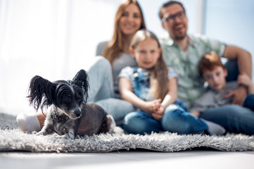 Wall Mural - background image of happy family with pet