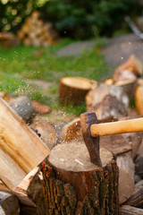 Wall Mural - Ax in stump. Tool for work. Forester ax in the forest, chopping wood. Ax close up.