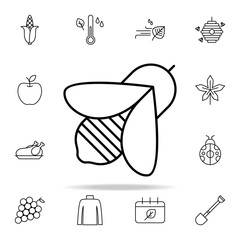 Poster - bee icon. autumn icons universal set for web and mobile