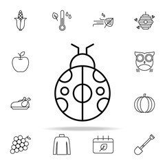 Poster - ladybug icon. autumn icons universal set for web and mobile