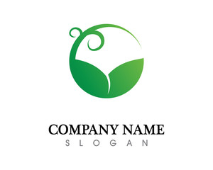 Tree leaf vector logo design, eco-friendly concept.