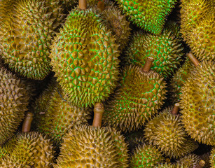 Wall Mural - Group of fresh durians in the durian market.