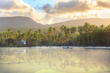 Canvas Print - sunset beach with tall palm trees and lonely boat