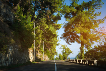 Wall Mural - coastline road landscape