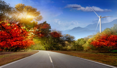 Wall Mural - Asphalt road in early autumn with red and yellow leaves