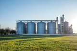 Fototapeta  - silver silos on agro-processing plant for processing and storage of agricultural products, flour, cereals and grain