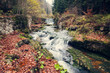 Beautiful river with waterfall in the autumn nature
