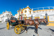 Horse carriage in Seville, Spain.