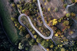 street between autumn forest aerial drone view from above, dji