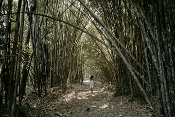 Wall Mural - exotic young asian woman in bamboo forest 