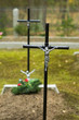 Crosses on a historic, war-time cemetery 1