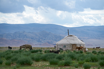 Wall Mural - Mongolian  ger (yurt) in Altai Mountains in Mongolia