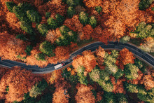 Winding Road In The Forest In The Fall With Truck On The Road