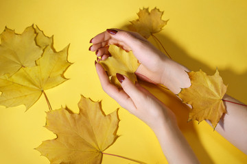 Fashion art hand woman in autumn time and leaves on her hand with bright contrasting makeup. Creative beauty photo hands girls yellow background with colored shadows. Skincare