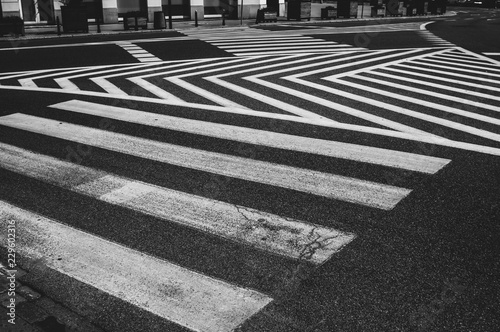 Fotografie, Obraz Abstract lines of pedestrian crossing, black and white
