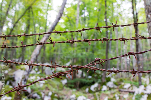 Fotomural Rusty barbed wire from the times of World War II