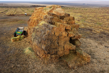 Wall Mural - Autumn agricultural  background with straw bales in Dobrogea land, Romania