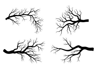 Canvas Print - bare branch winter set  design isolated on white background