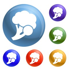 Poster - Fresh broccoli icons set vector 6 color isolated on white background