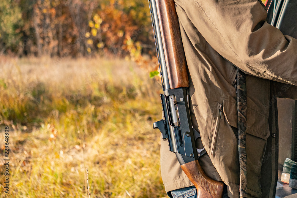 back view of hunter carry classic rifle shotgu in forest f Stock Photo ...