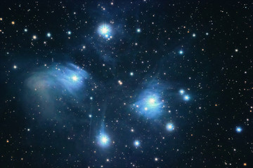 Wall Mural - the pleiades reflection nebula in the constellation of taurus. open star cluster.