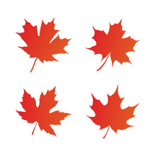 Maple Leaf Logo Icon Design Template Vector
