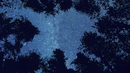 Stars and Milky Way on a dark night in the forest, rotating timelapse.