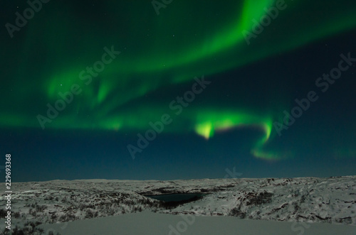 Fotografia, Obraz Aurora, Northern lights, night, tundra in winter.