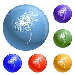 Poster - Bio chamomile icons set vector 6 color isolated on white background